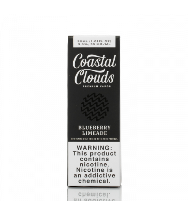 Saltwater Blueberry Limeade - Coastal Clouds Co. - 30mL