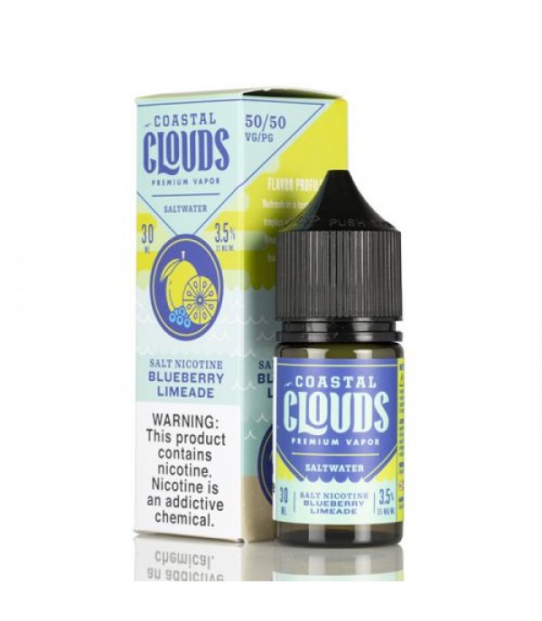 Saltwater Blueberry Limeade - Coastal Clouds Co. - 30mL